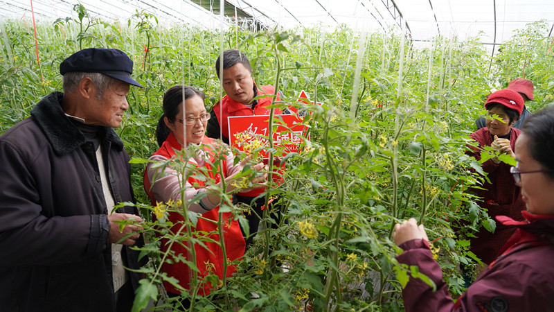 �����l(xi��ng)�����d | ���Ѕ^(q��)����·�ֵ���Ո(q��ng)�r(n��ng)�������_(k��i)չ�Nֲ���g(sh��)ָ��(d��o)