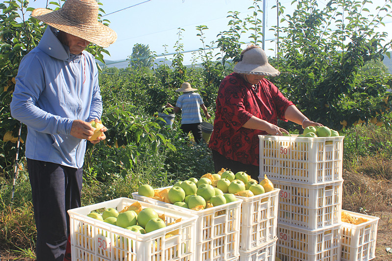 ��ó������Ѕ^(q��)ǰ�����@�����@������������